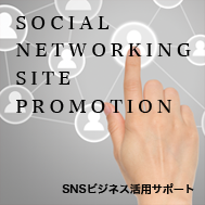 SOCIAL NETWORKING SITE PROMOTION